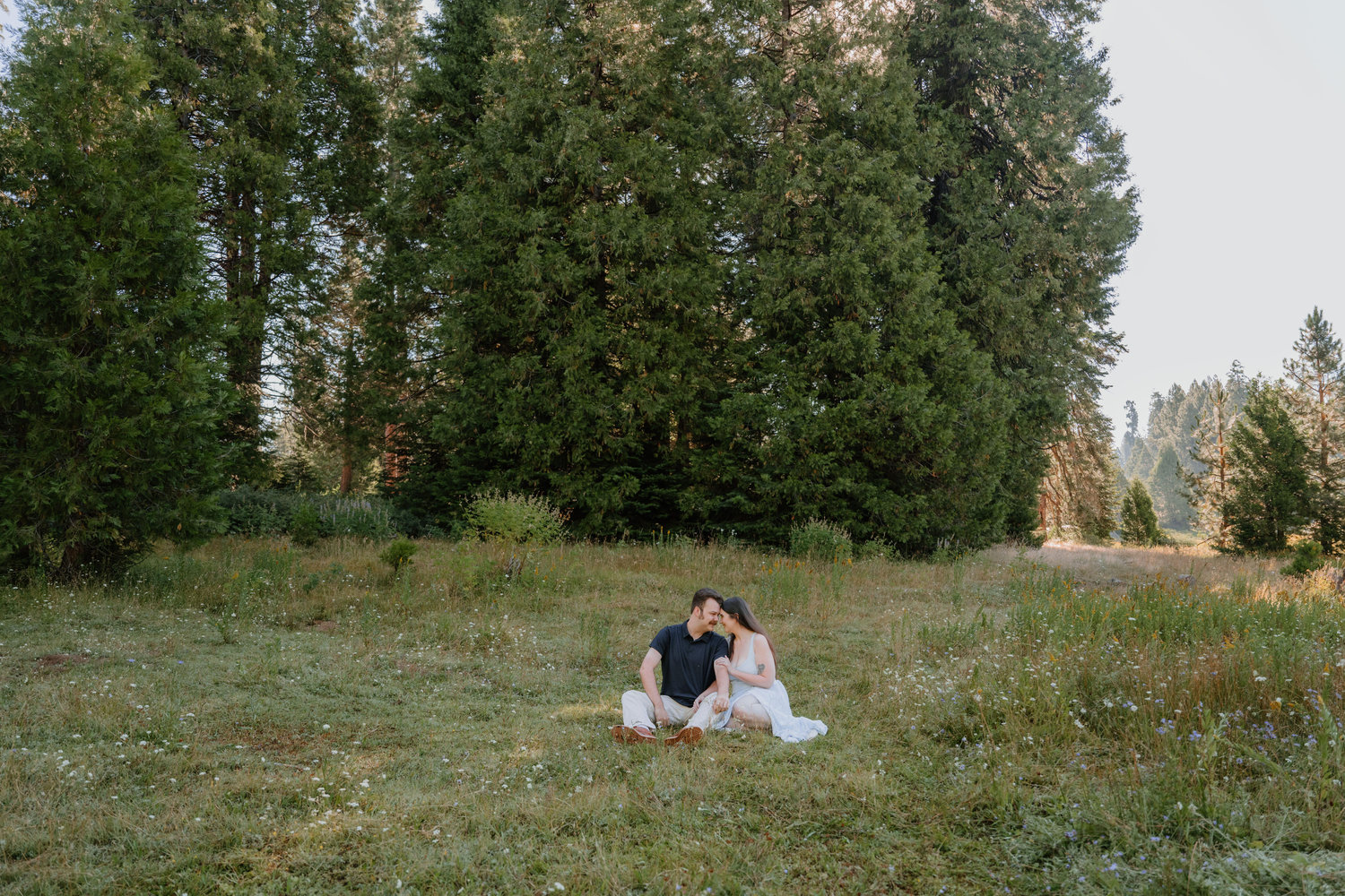 The Wedding Website of Talohr Cogdill and Cash Gruenwald