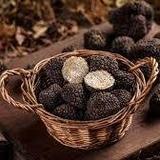 Go Truffle Hunting