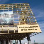 Sightseeing - Audubon Aquarium & Imax