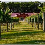 Willow Creek Farm & Winery