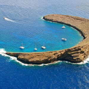 Molokini snorkeling