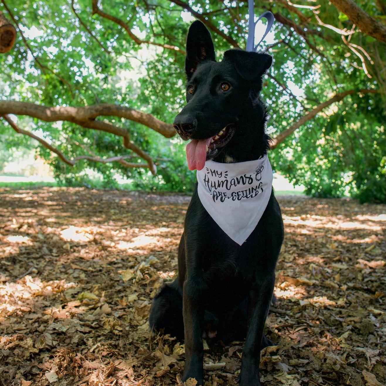 Maya is very excited about the wedding!