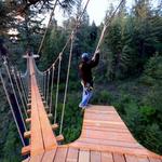 Timberline Adventures