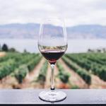 Willamette Valley, Wine Country