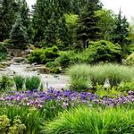 Bellevue Botanical Garden