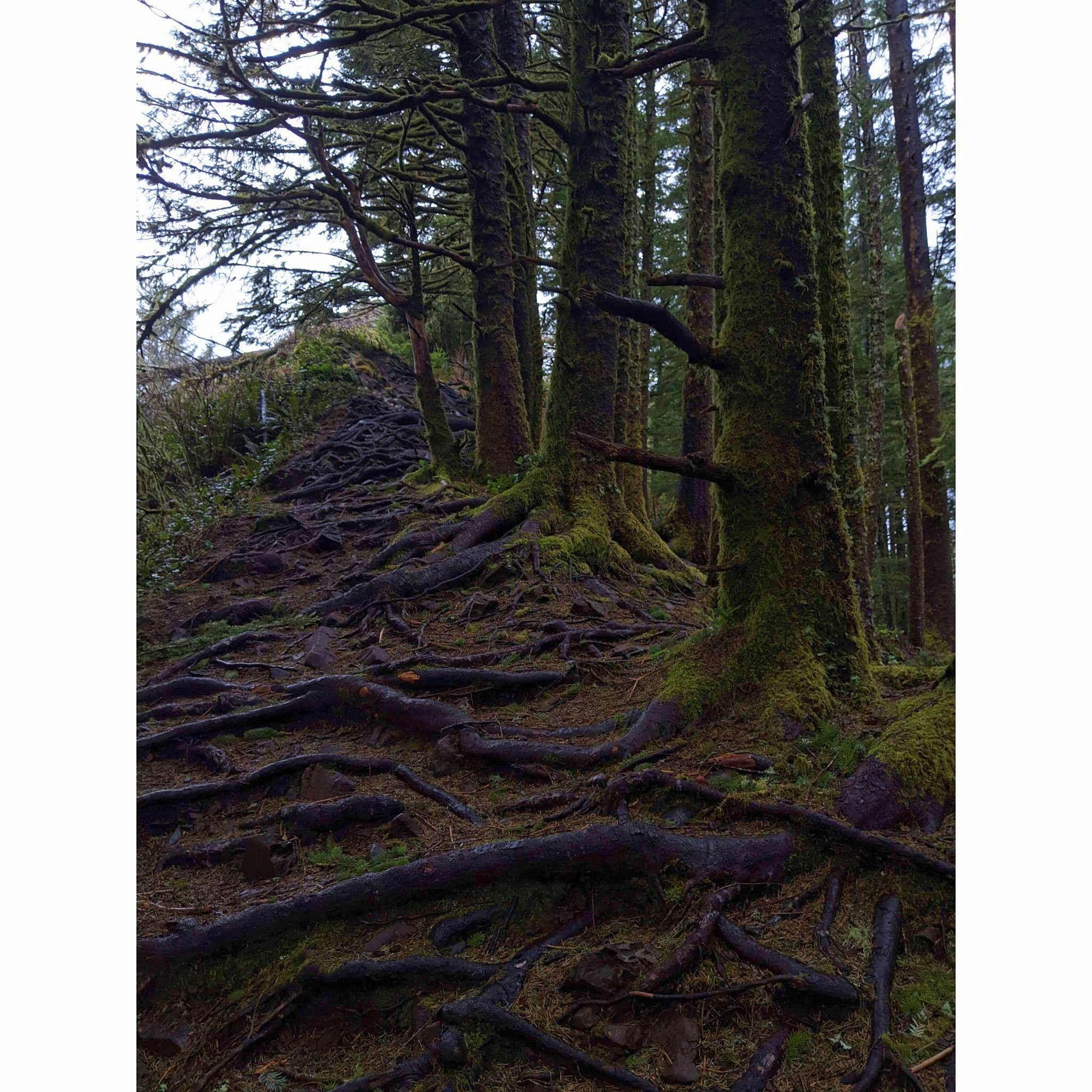 The final stretch to the top of the cliff