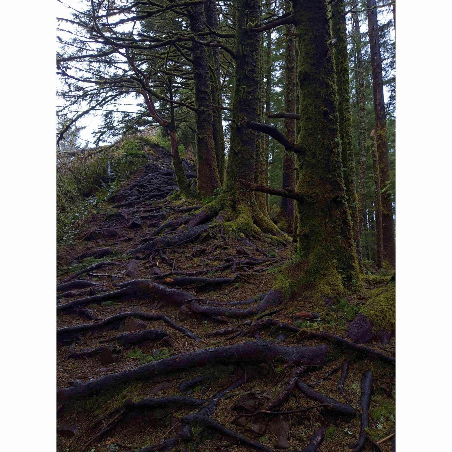 The final stretch to the top of the cliff