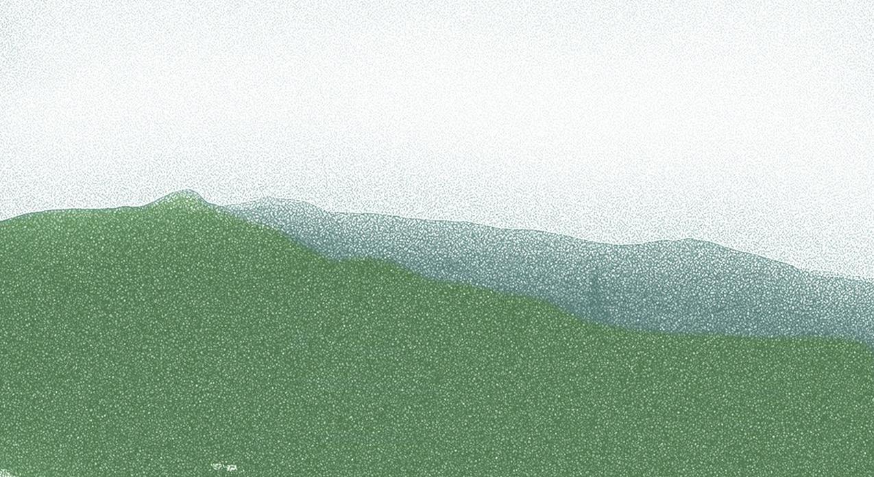 Footer image