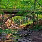 Highbanks Metro Park