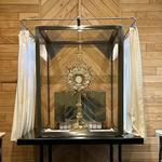 Our Lady of Consolation Catholic Church - 24/7 Adoration Chapel
