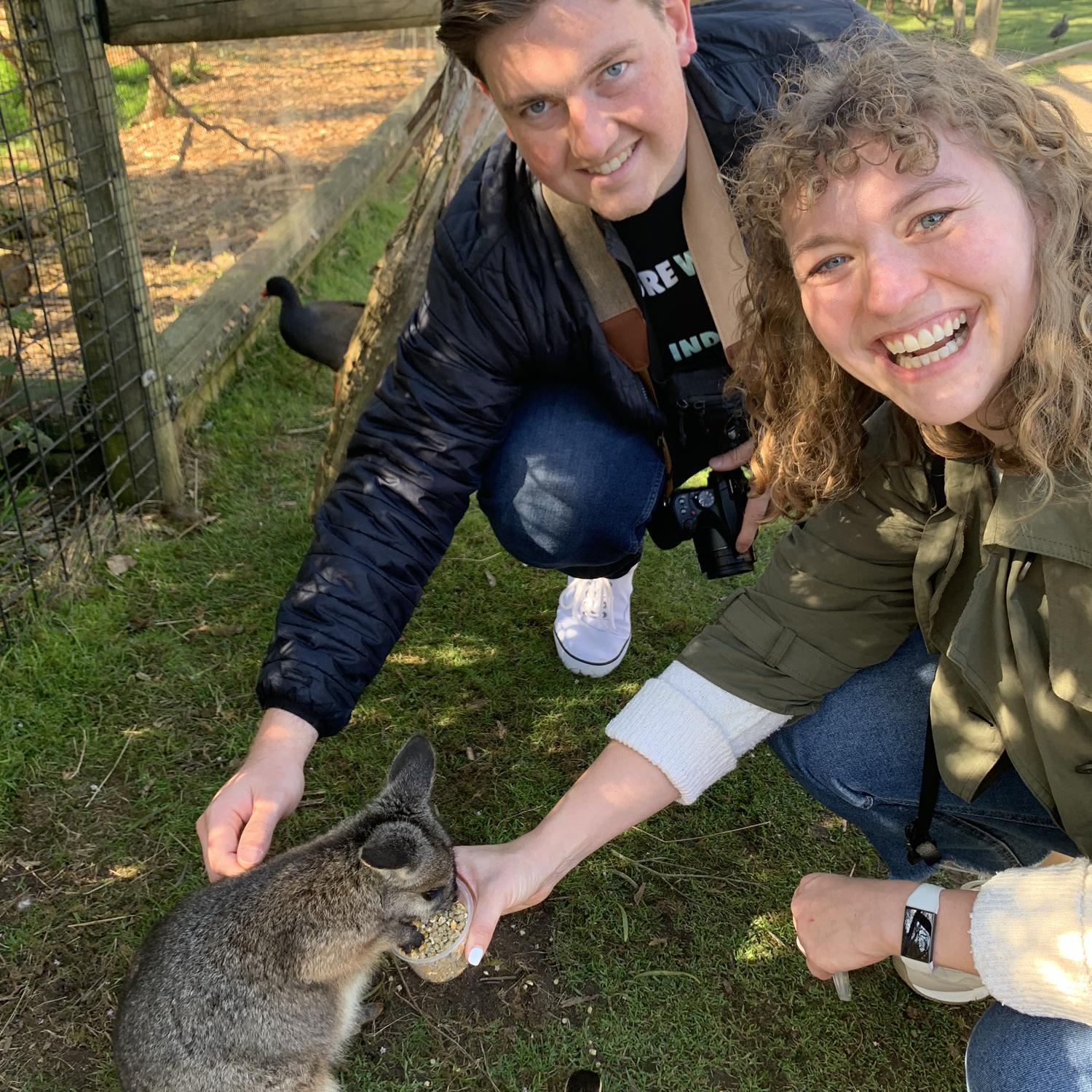 Feeding rescued wallabies at Moonlit Animal Sanctuary (Victoria, Australia August 2023)