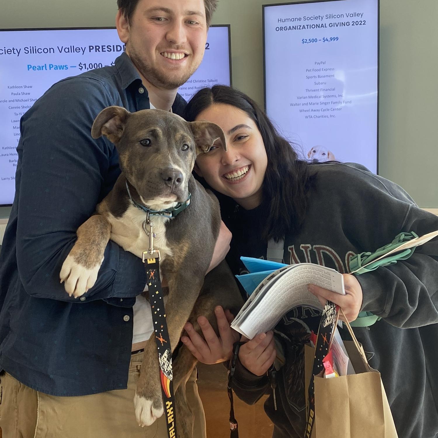 Random day that we decided to adopt a dog