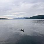 Lake George