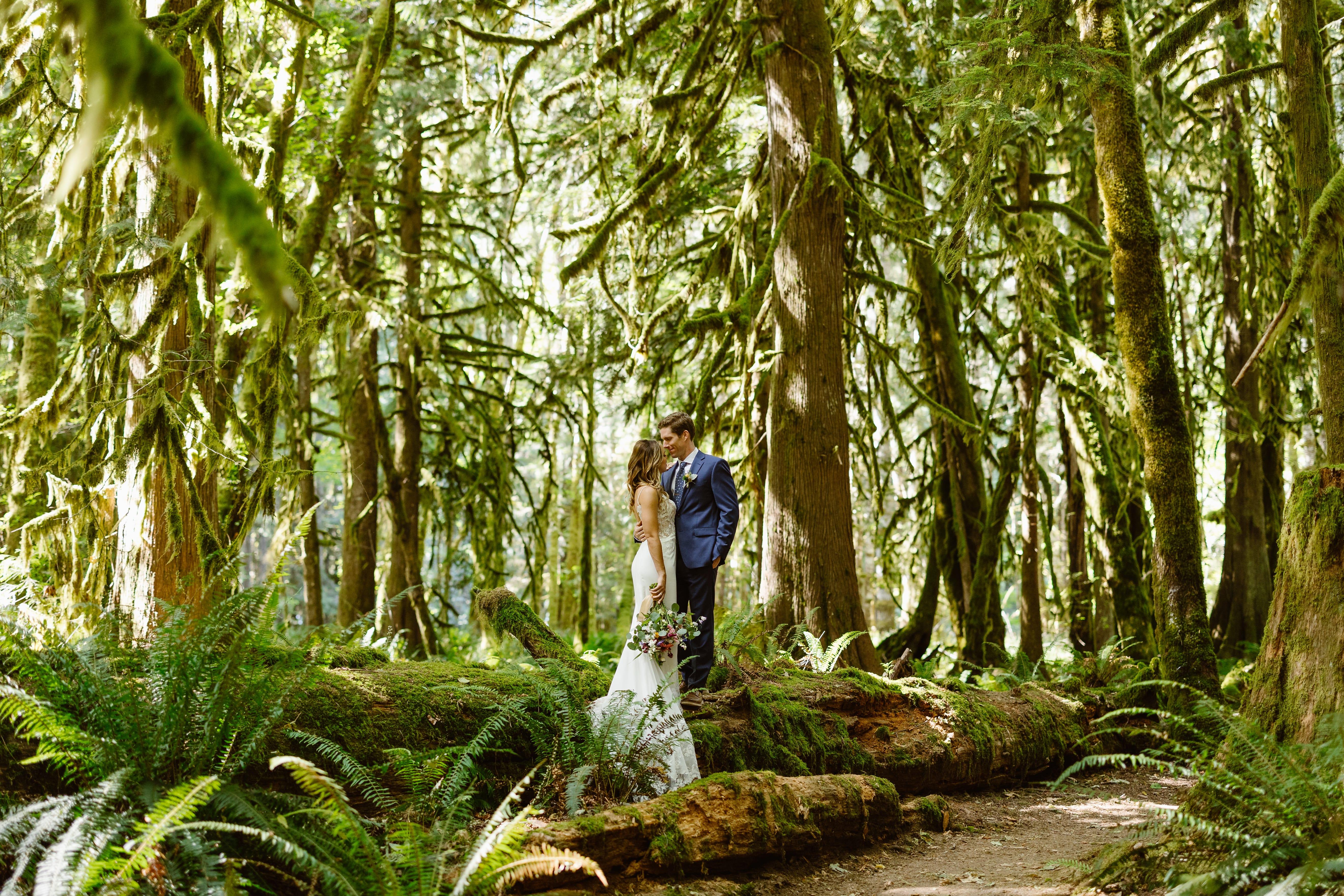 The Wedding Website of Emily Brindley and Quint Wharton