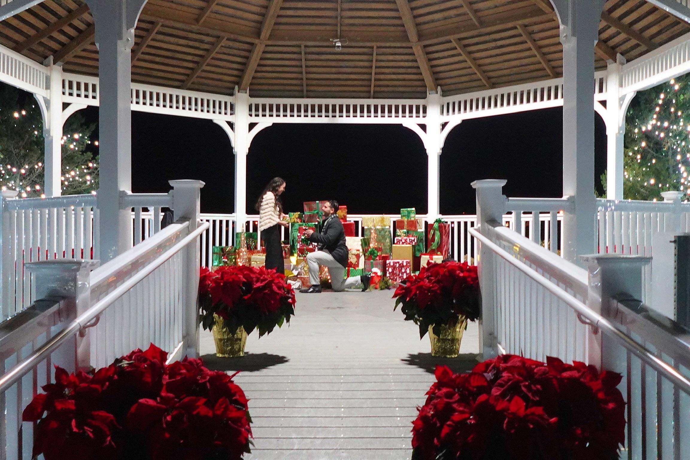 The Wedding Website of Olivia Papiano and Frank Gallina