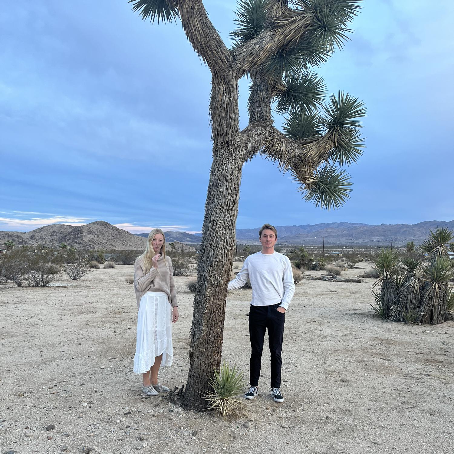 Joshua Tree!