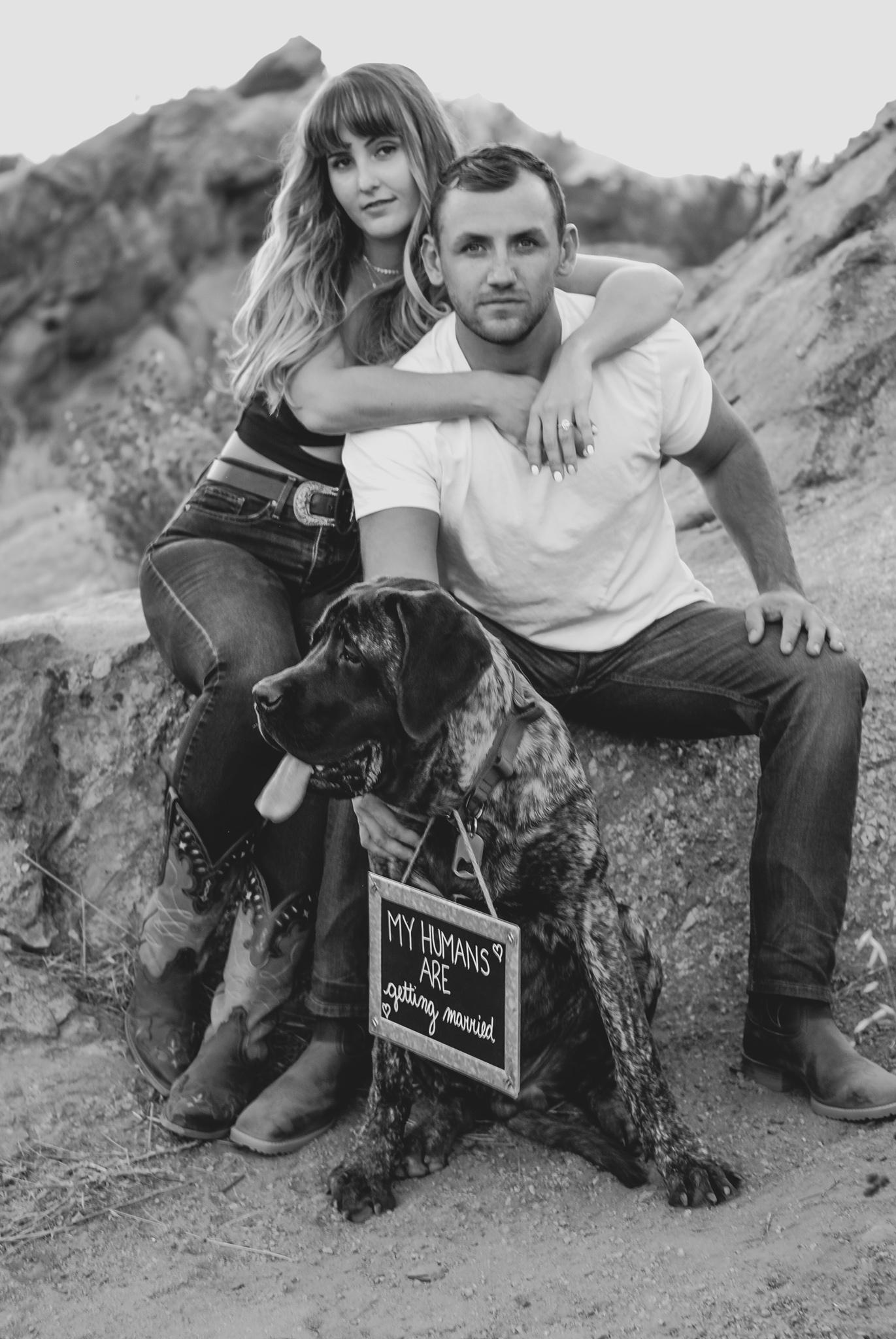 The Wedding Website of Tyler Van Der Gugten and Kelly Domaradzki