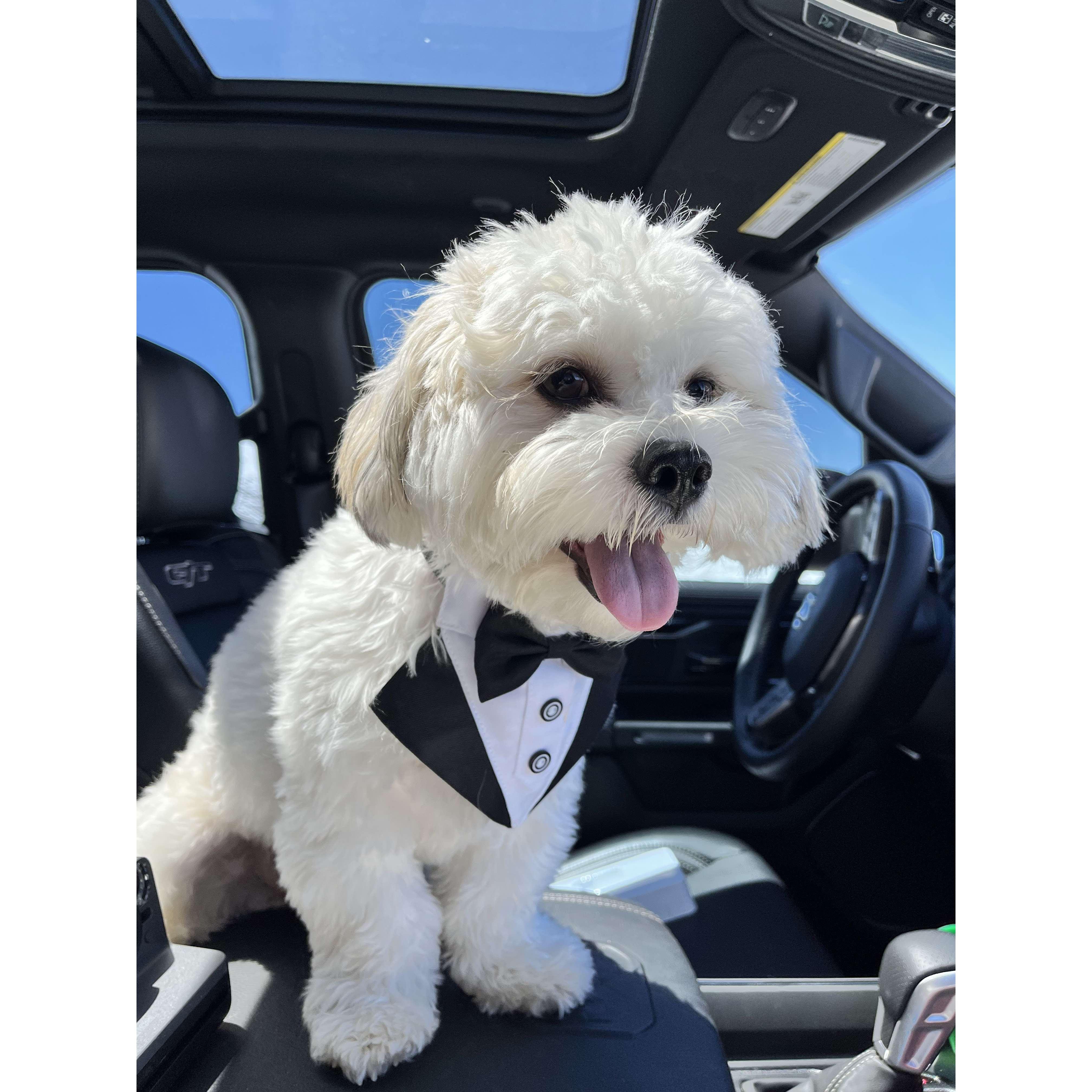 Our best man, Louis