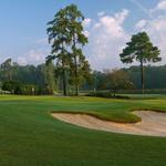 Forest Hills Golf Course