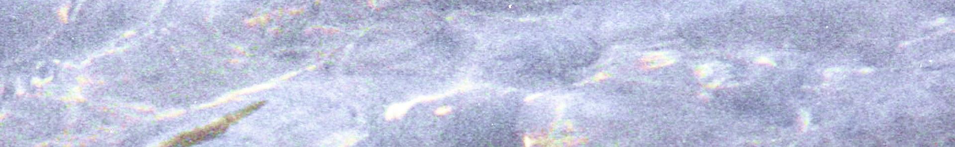 bc852a8f-266e-4abf-b1fd-2783c86fb266