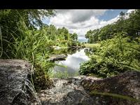 Southern Highlands Reserve