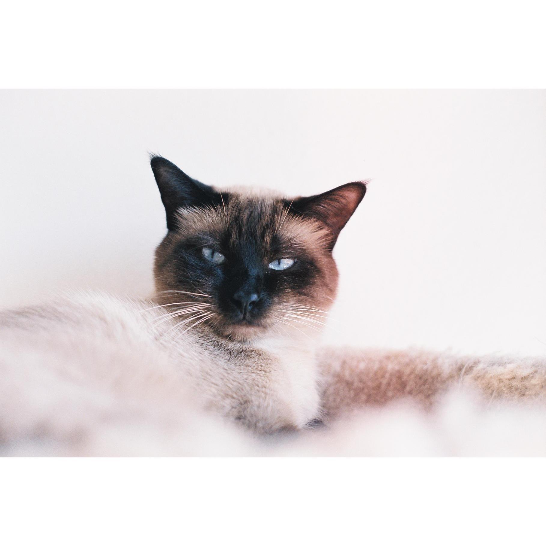 Our oldest son, Peets.