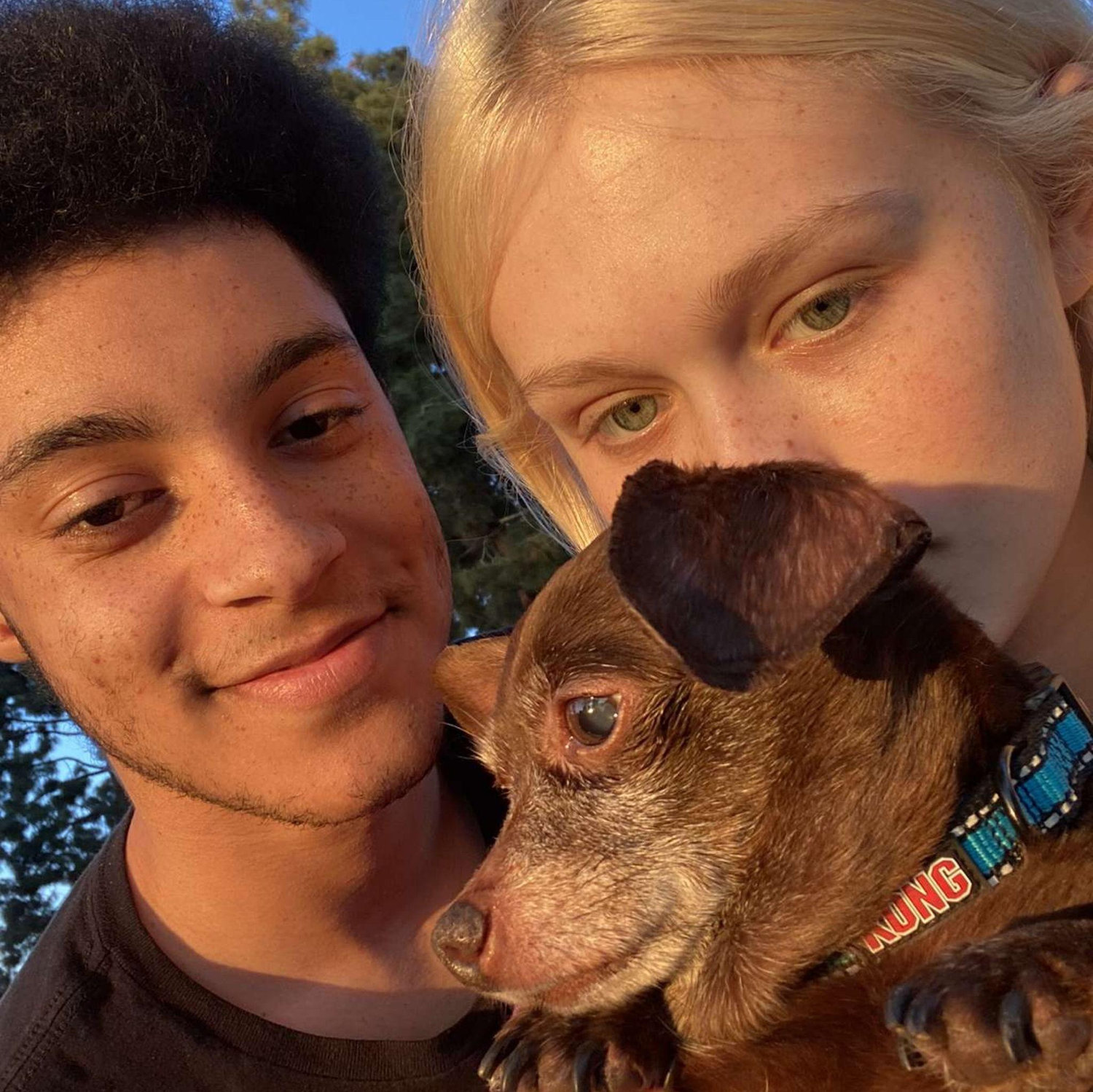 Our final day with my family dog Jack <3