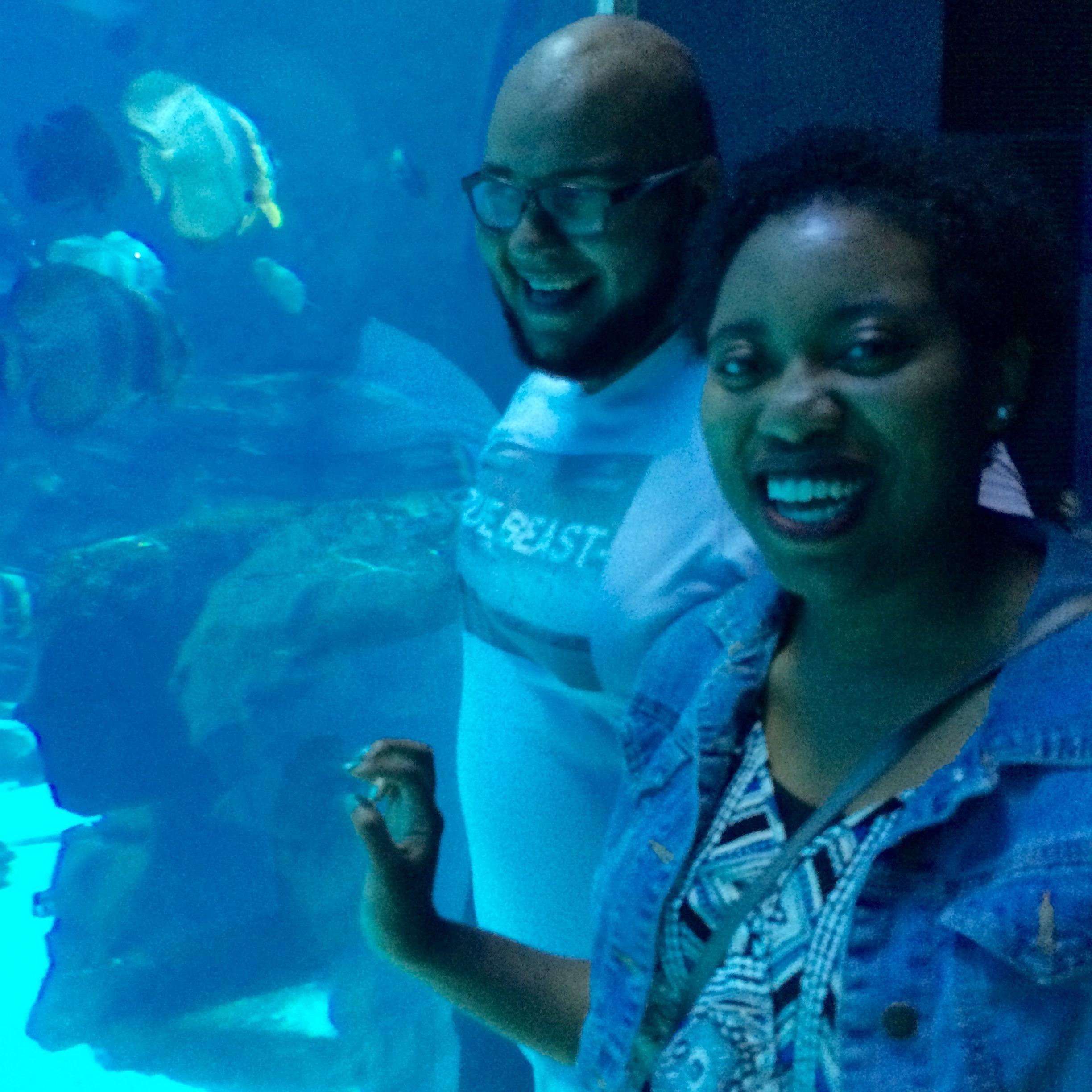 GA Aquarium