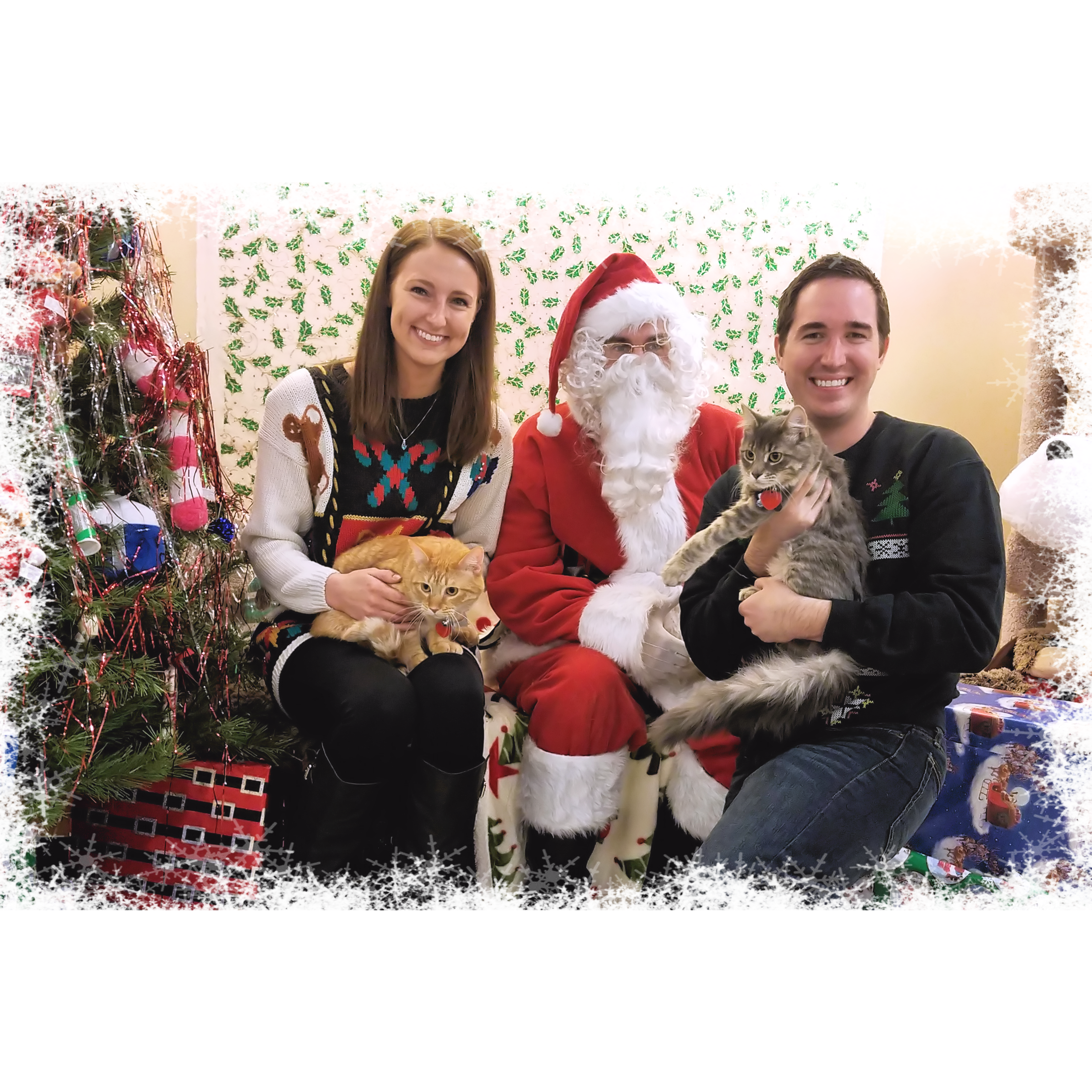 Bringing our cats, Fitzgerald & Hemingway, to see Santa - 12/2016