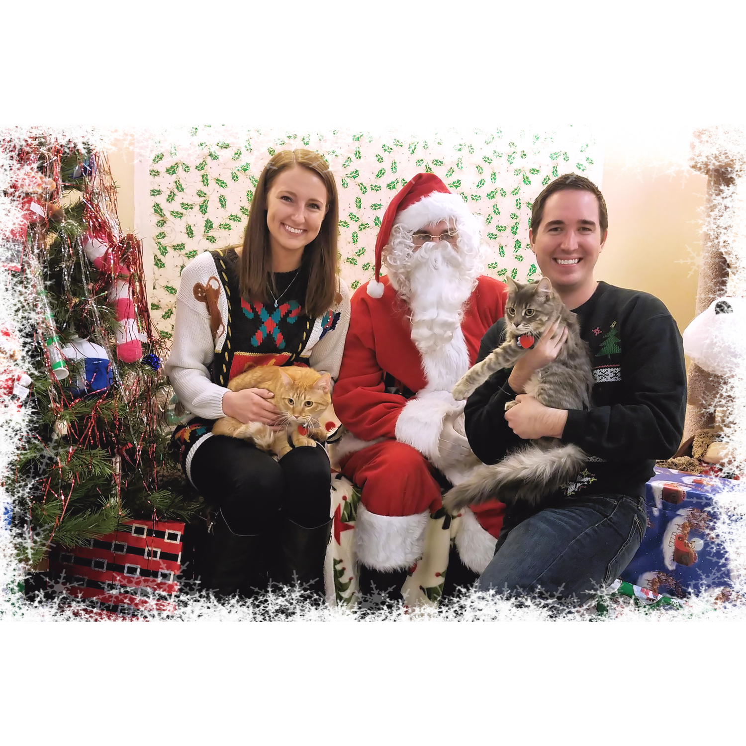Bringing our cats, Fitzgerald & Hemingway, to see Santa - 12/2016