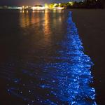 Laguna Grande - Bioluminescent Bay Tour