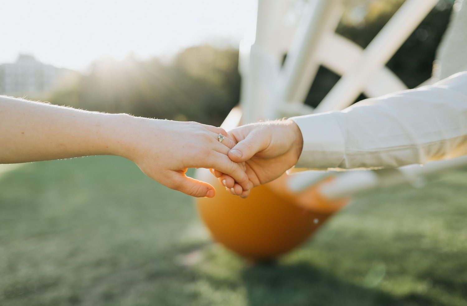 The Wedding Website of Sage Friedline and Joey Lagina