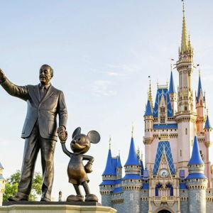 Walt Disney World Annual Passes