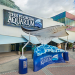 The Florida Aquarium
