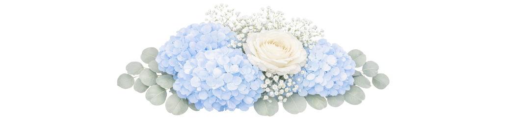 The Wedding Website of Josh Price and Allison Henry