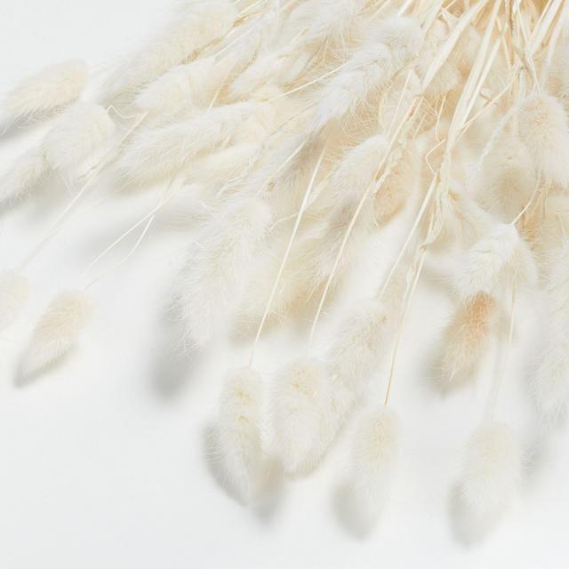 Bunny Tail Bunch