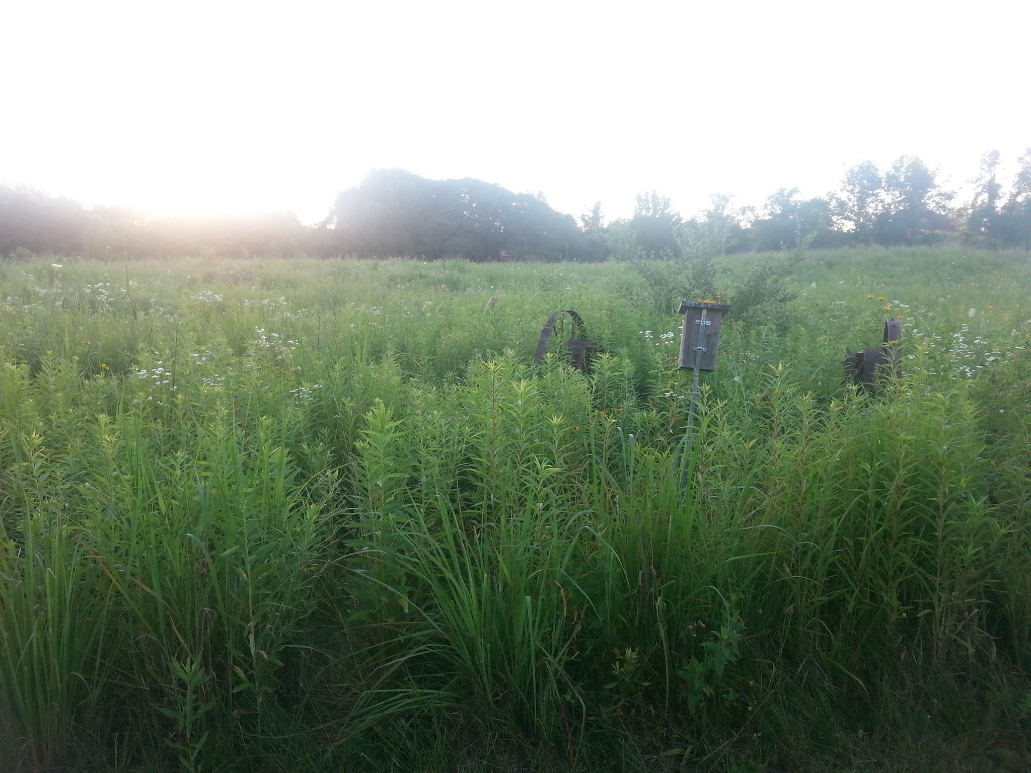 The Wedding Website of Kara Robart and Travis Raley