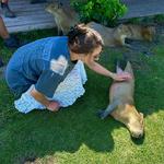 Kangaroo Creek Farm