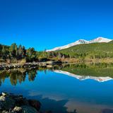 Lily Lake
