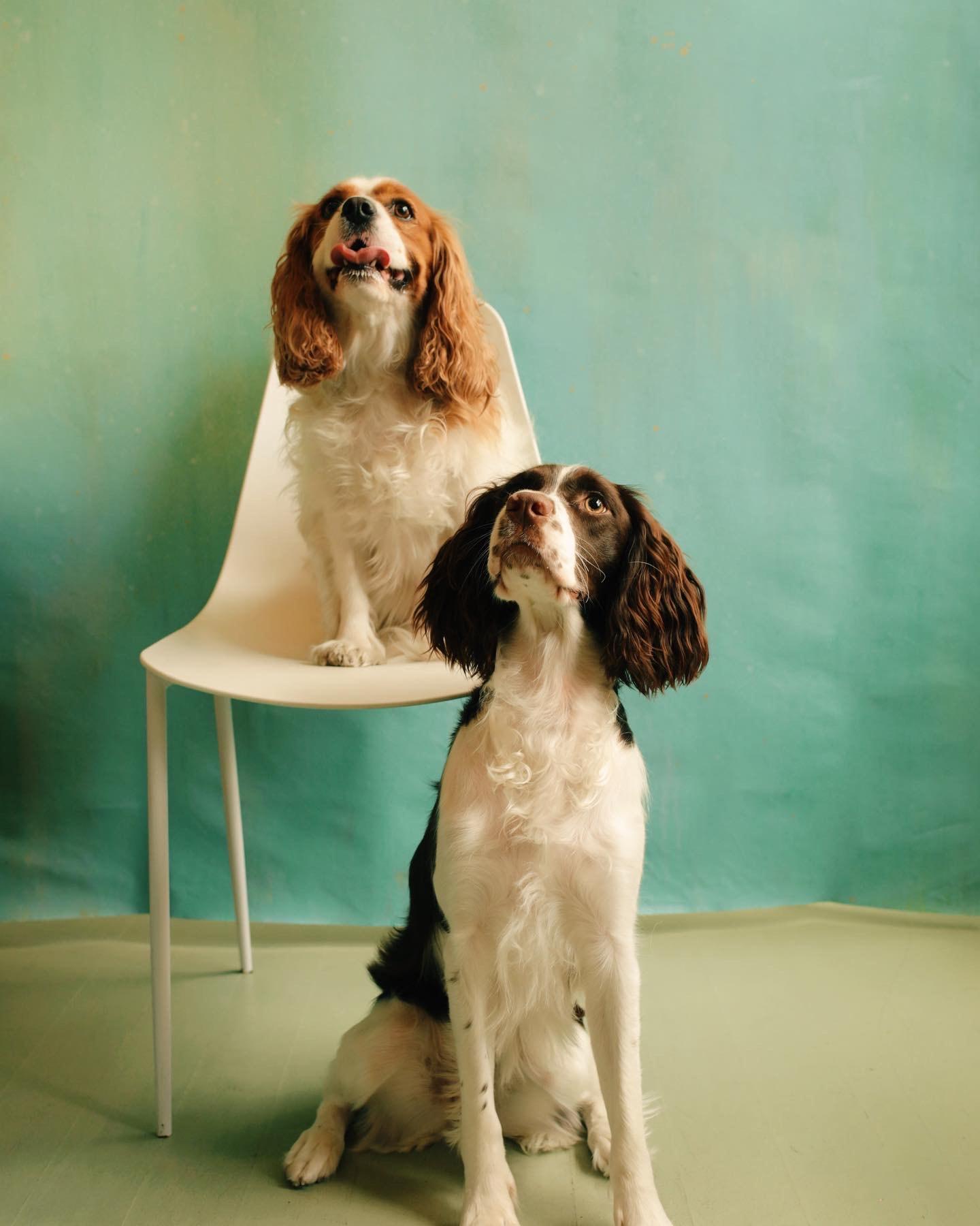 The Wedding Website of Amanda Nigrelli and Evan Busteed