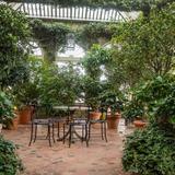 Dumbarton Oaks Park
