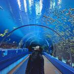 Georgia Aquarium