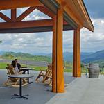 Point Lookout Vineyards