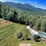 Grandfather Vineyard & Winery