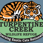 Don't Go to Turpentine Creek