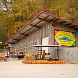 Hillside Orchard Farms