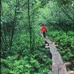 Hunter Cove Wildlife Sanctuary