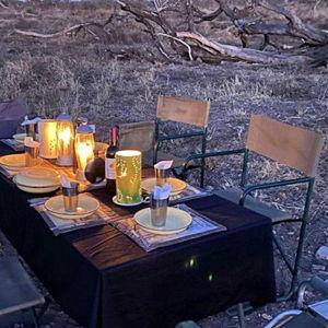 Private Bush Dinner Under the Stars