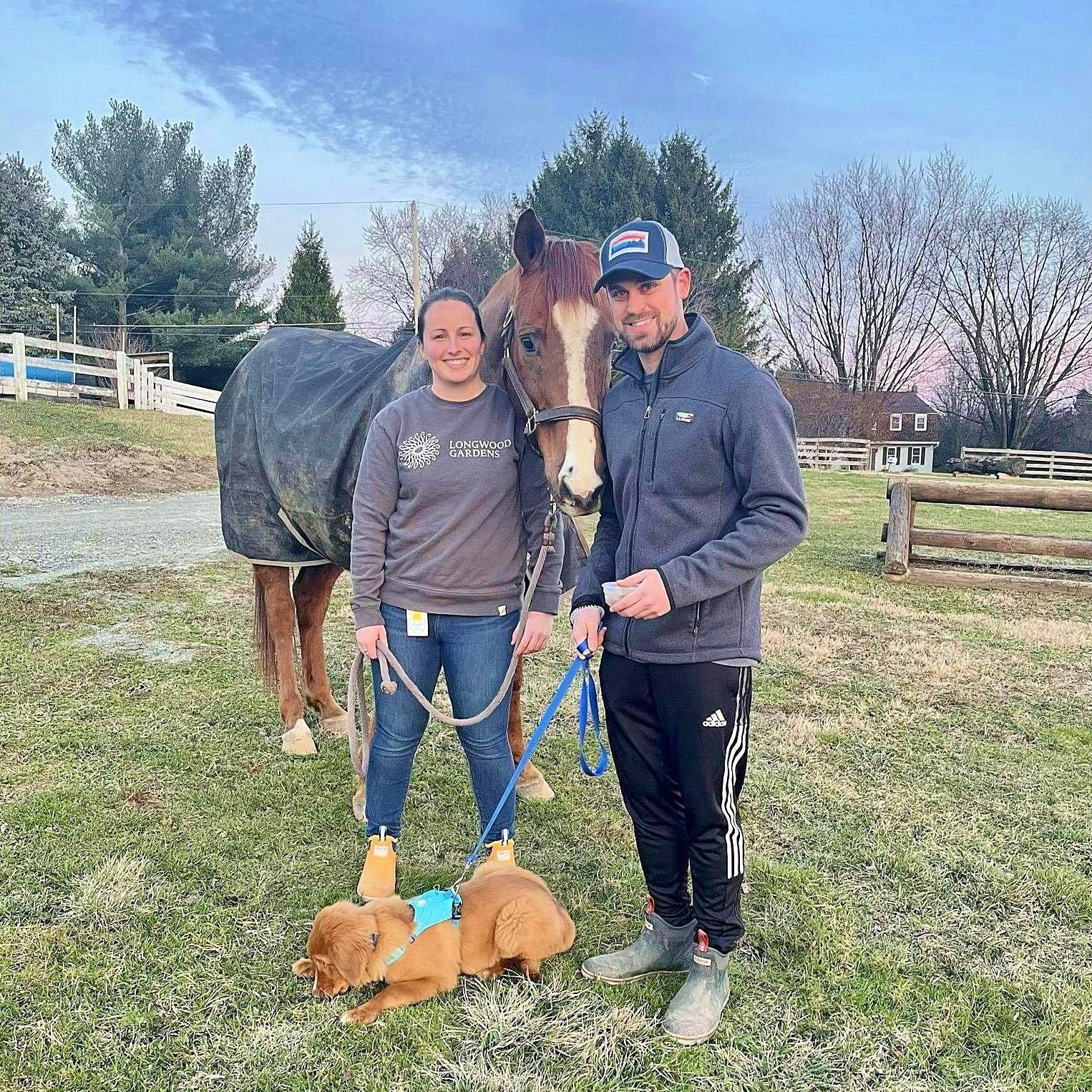 Spring 2023 - When Party Boy and Skipper bonded over their love of eating grass.