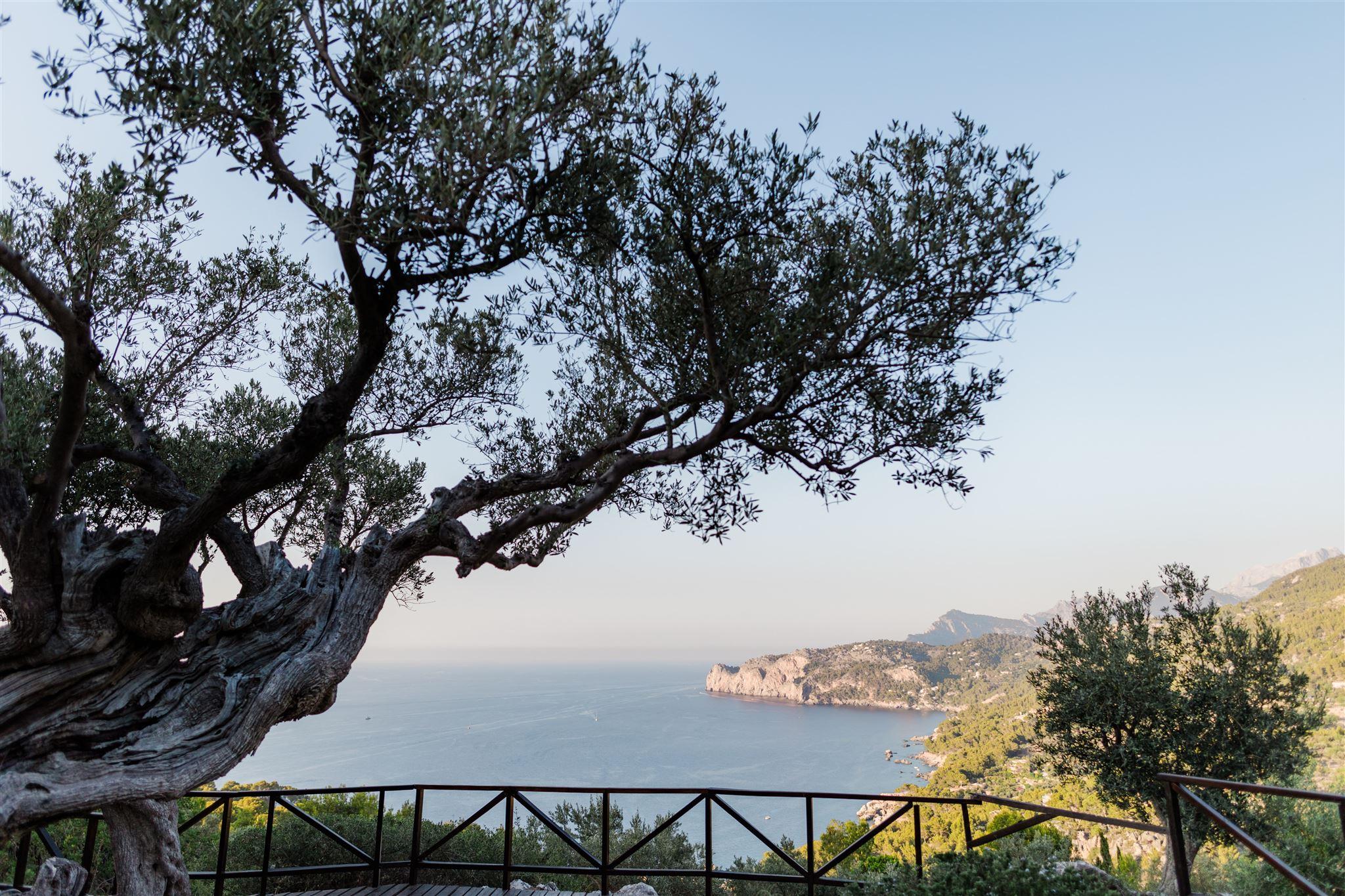 The Wedding Website of Bettina Humphreys and Sebastian Contreras